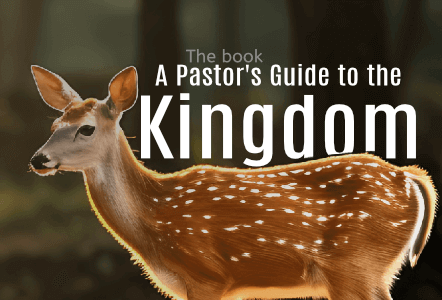 Store; Courses; Featured show